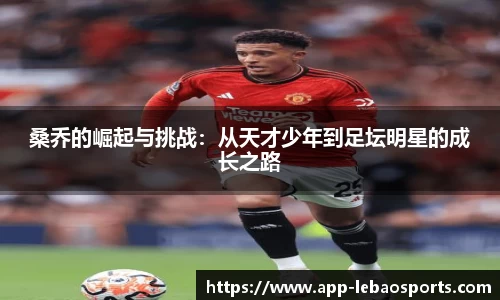 乐宝体育官方网站