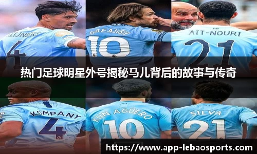 乐宝体育官方网站