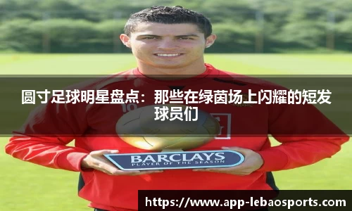 乐宝体育官方网站